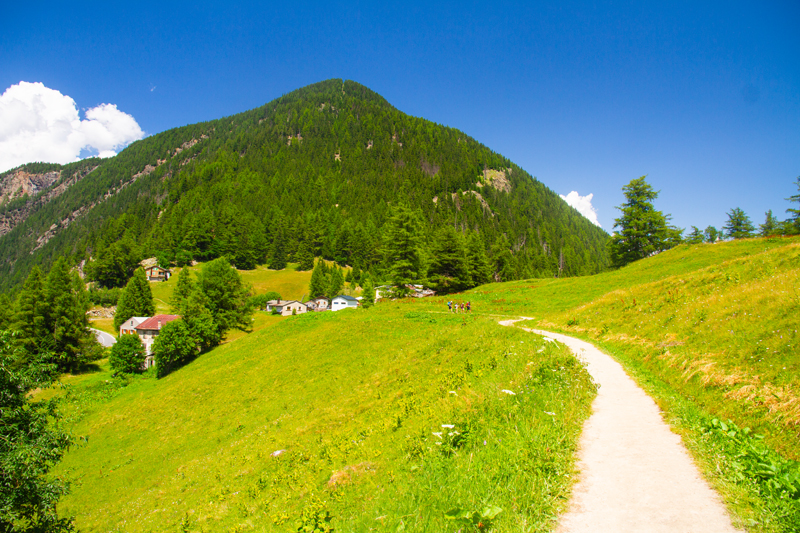 Randonnée - Bisse du Trient