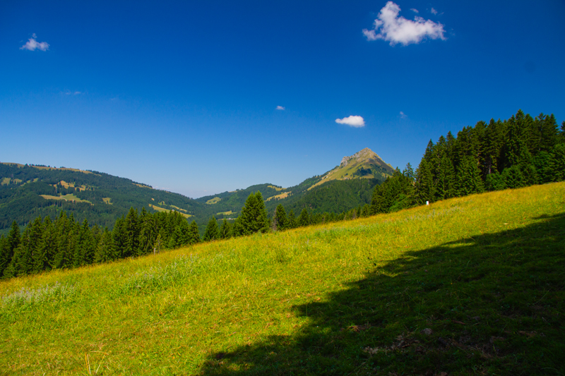 Randonnée - Les Paccots – Chalet de La Borbuintze