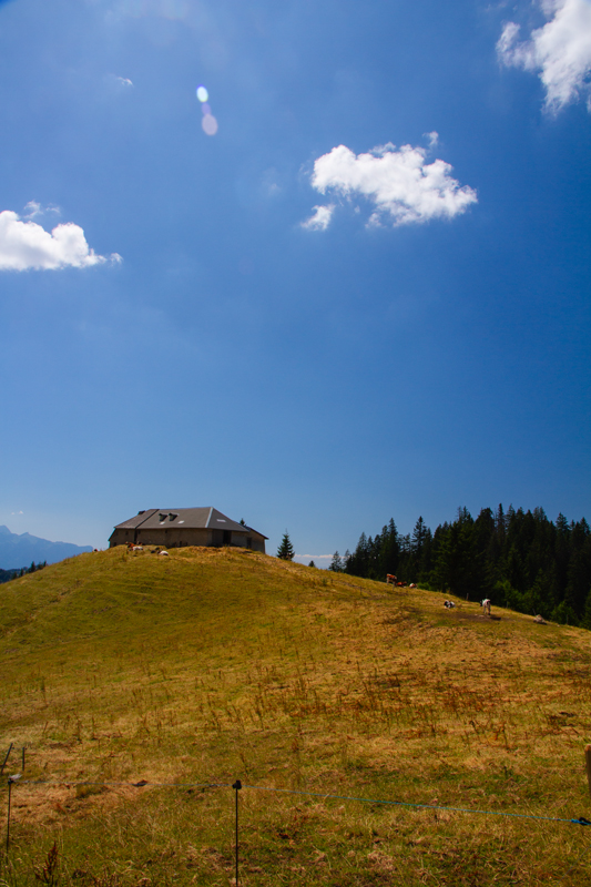 Randonnée - Les Paccots – Chalet de La Borbuintze