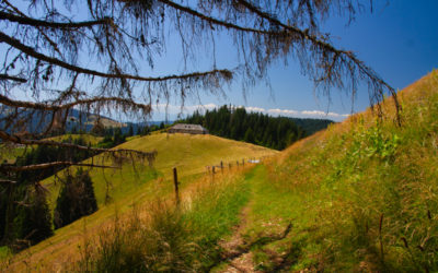 Les Paccots – Chalet de La Borbuintze