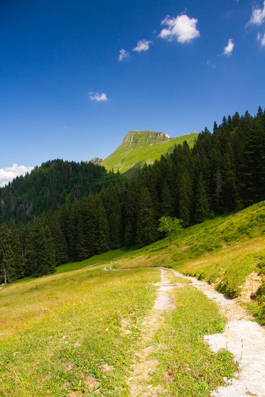 Randonnée - Les Paccots – Chalet de La Borbuintze