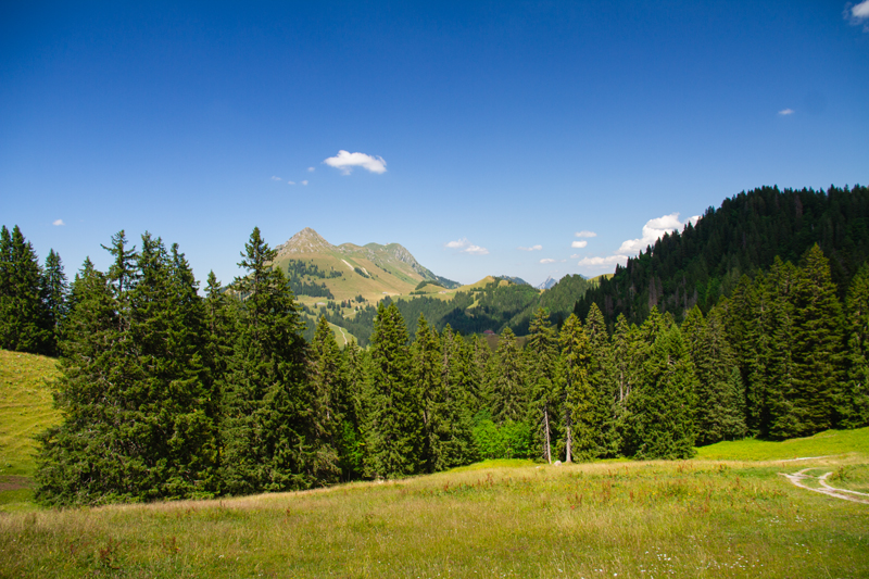Randonnée - Les Paccots – Chalet de La Borbuintze