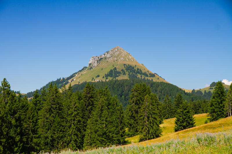 Randonnée - Les Paccots – Chalet de La Borbuintze