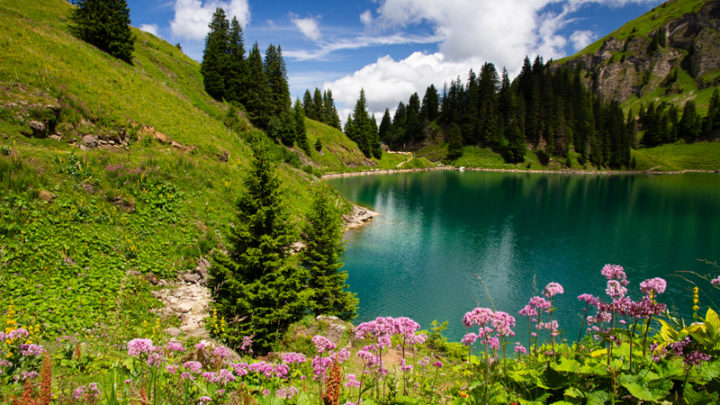 Pic Chaussy