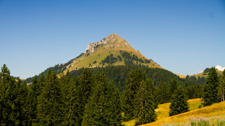 Teysachaux, Le