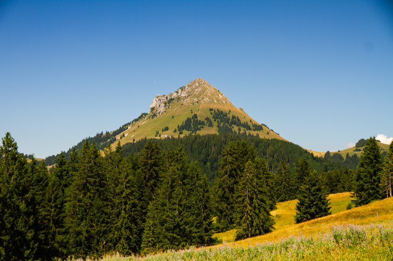 Teysachaux, Le