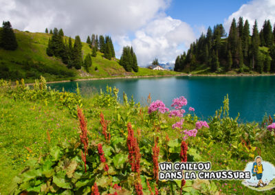 Galerie d’images – Lac Lioson