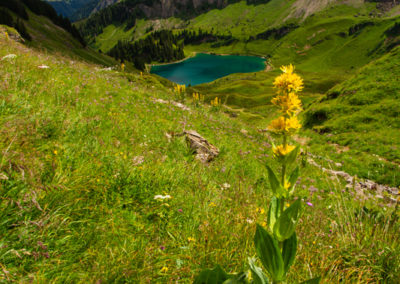 Galerie d’images – Lac Lioson
