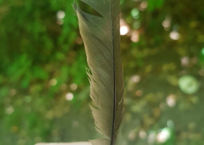 Plumes en vrac
