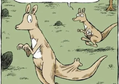 Humour