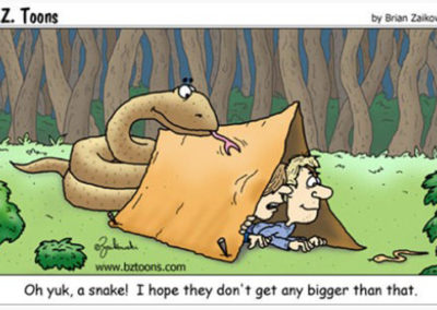 Humour