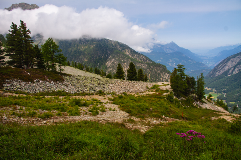 Randonnée - Bisse du Petit Ruisseau