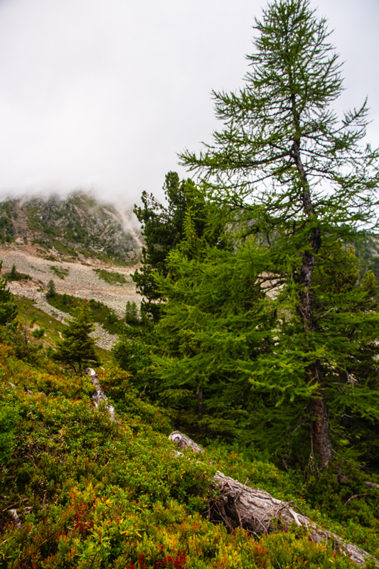 Randonnée - Bisse du Petit Ruisseau