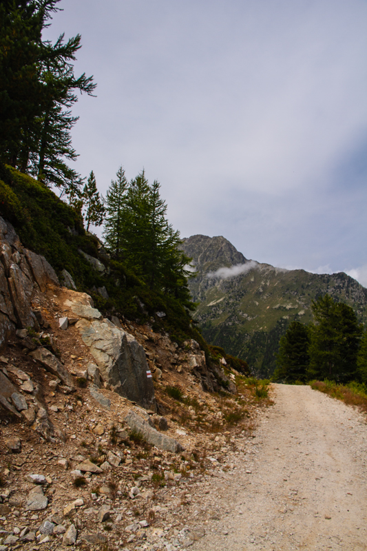Randonnée - Bisse du Petit Ruisseau