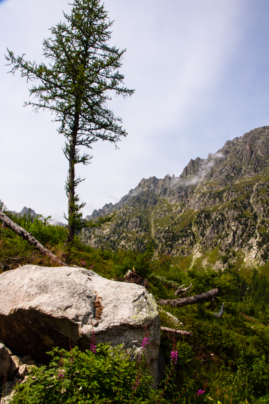 Randonnée - Bisse du Petit Ruisseau