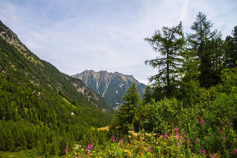 Randonnée - Bisse du Petit Ruisseau