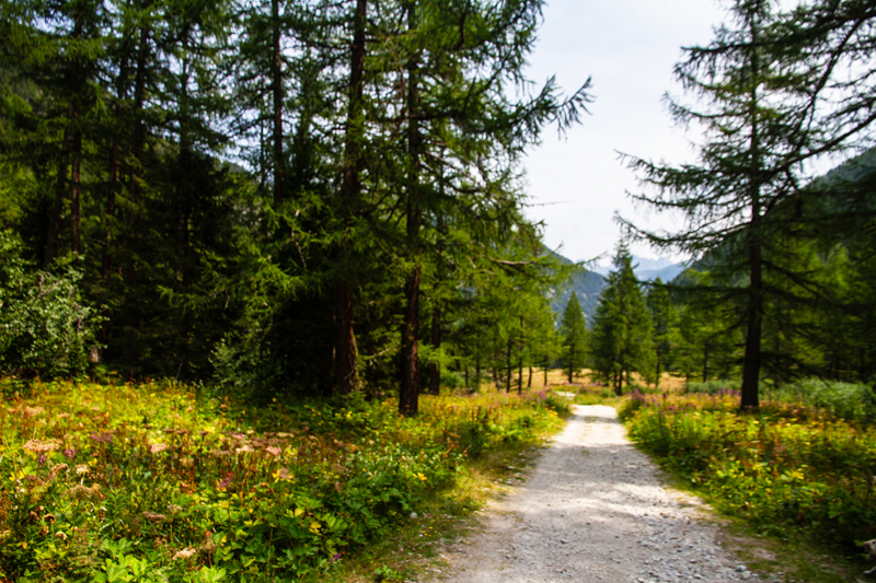 Randonnée - Bisse du Petit Ruisseau