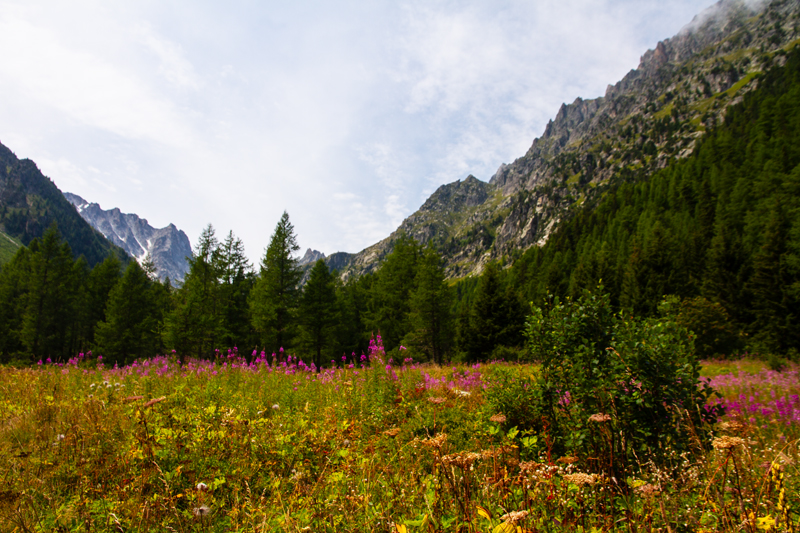 Randonnée - Bisse du Petit Ruisseau