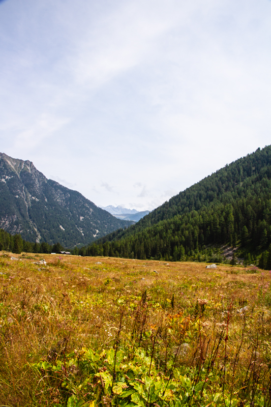Randonnée - Bisse du Petit Ruisseau