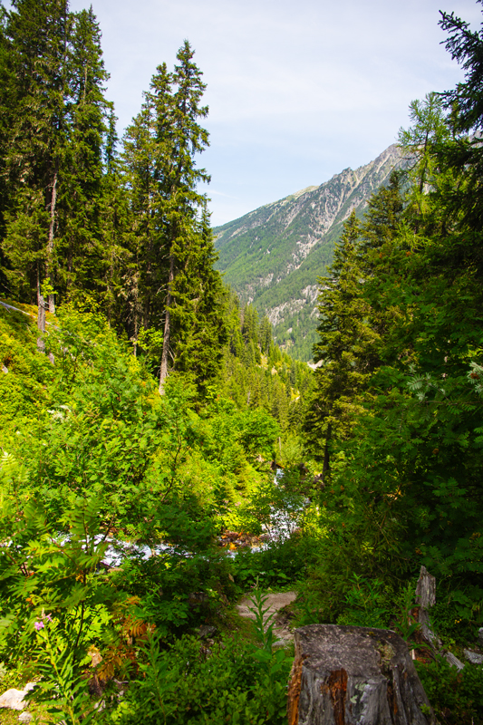 Randonnée - Bisse du Petit Ruisseau