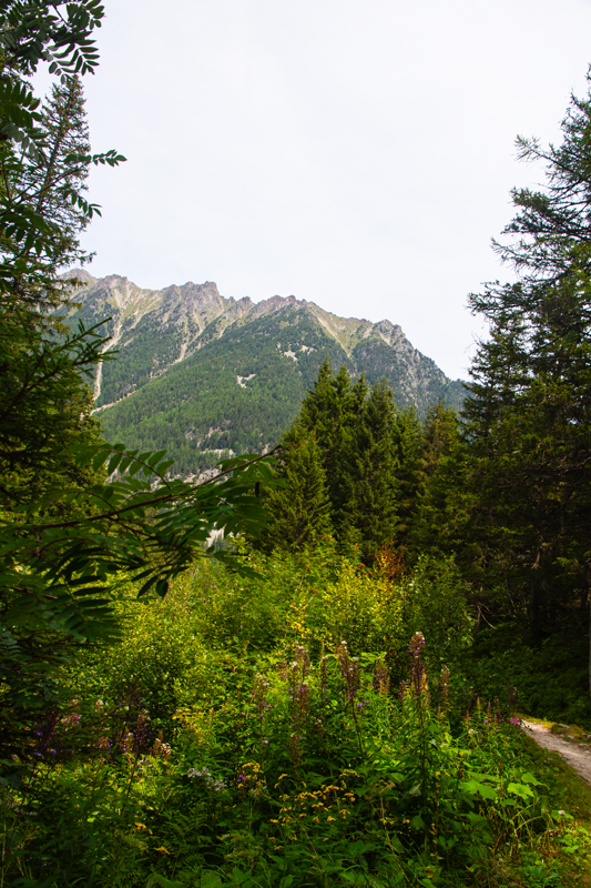 Randonnée - Bisse du Petit Ruisseau