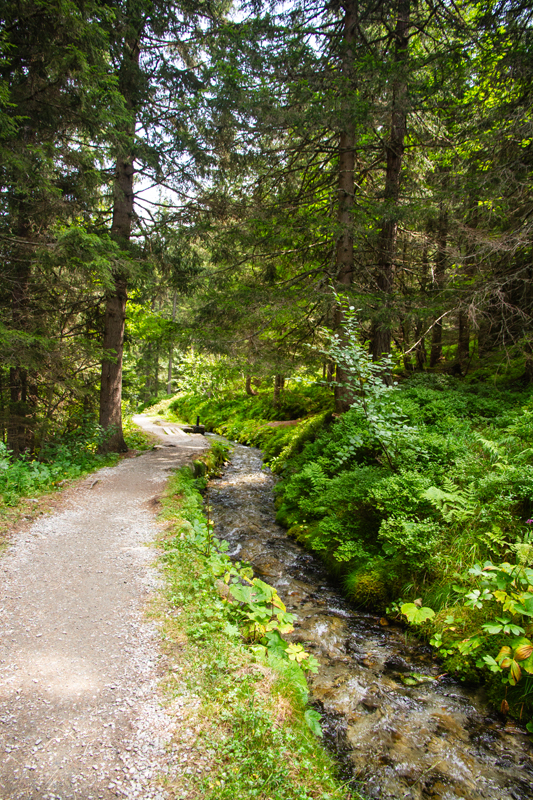 Randonnée - Bisse du Petit Ruisseau