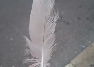 Plumes en vrac