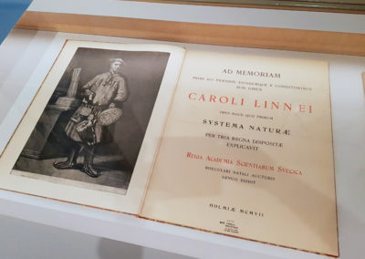 Carl von Linné - NATURÉUM, Palais de Rumine, Lausanne