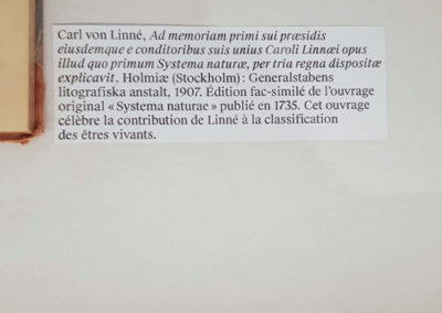 Carl von Linné - NATURÉUM, Palais de Rumine, Lausanne