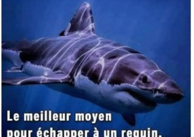 Humour