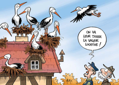 Humour