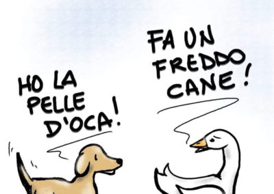 Humour