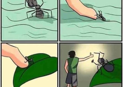 Humour