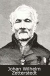 Johan Wilhelm Zetterstedt