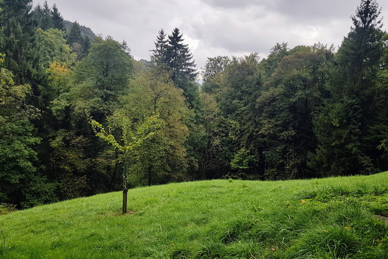 Randonnée - Au dessus des mines de sel de Bex