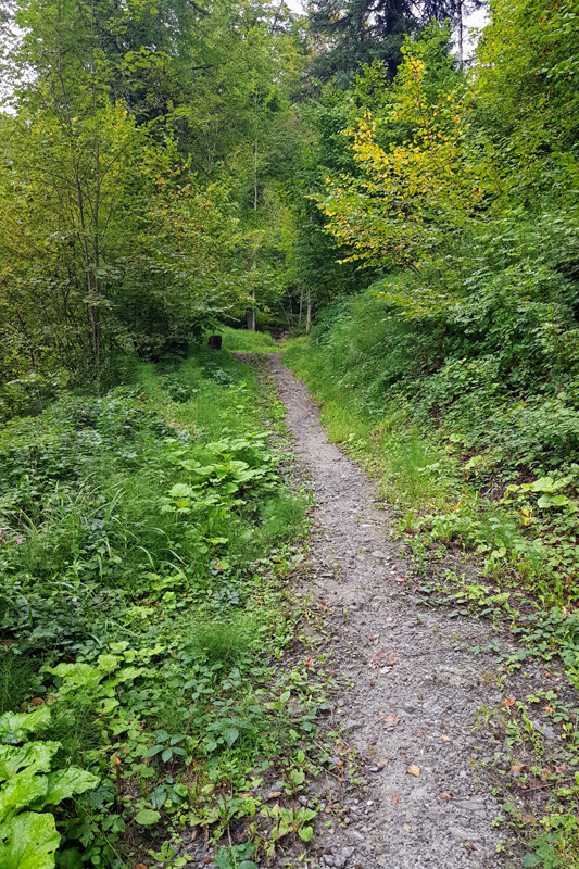 Randonnée - Au dessus des mines de sel de Bex