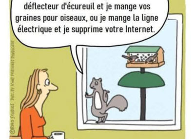 Humour