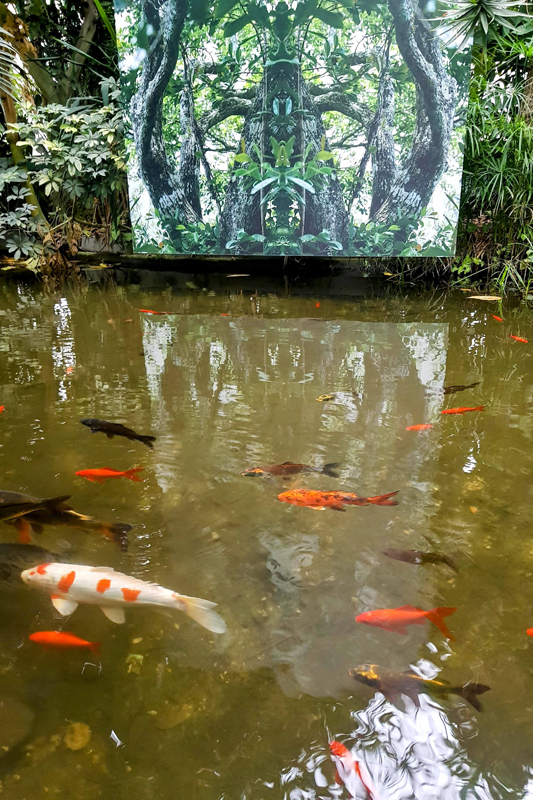 Visite - Jardin des serres d’Auteuil