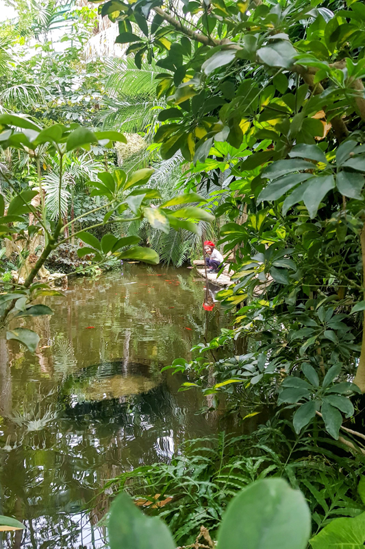 Visite - Jardin des serres d’Auteuil
