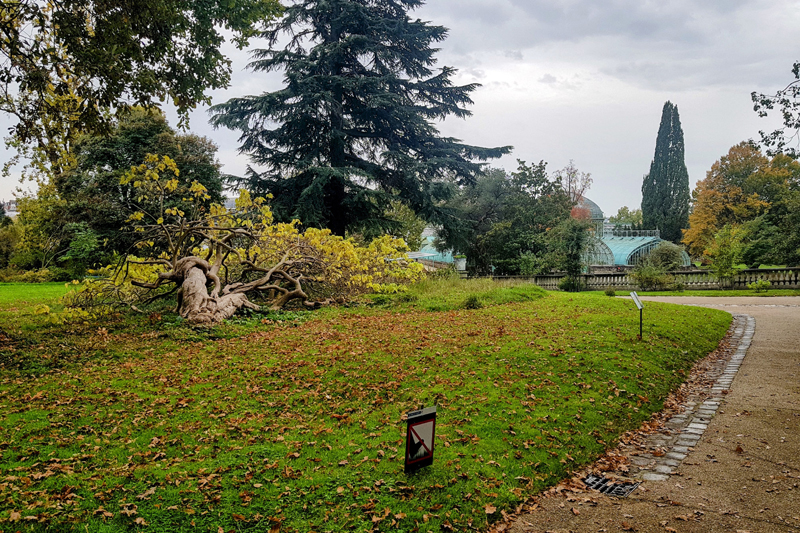 Visite - Jardin des serres d’Auteuil
