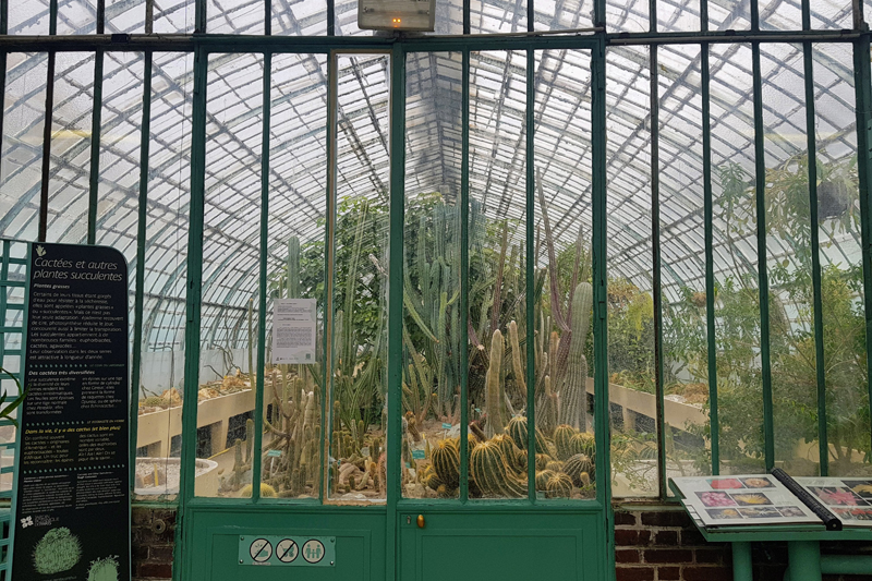 Visite - Jardin des serres d’Auteuil