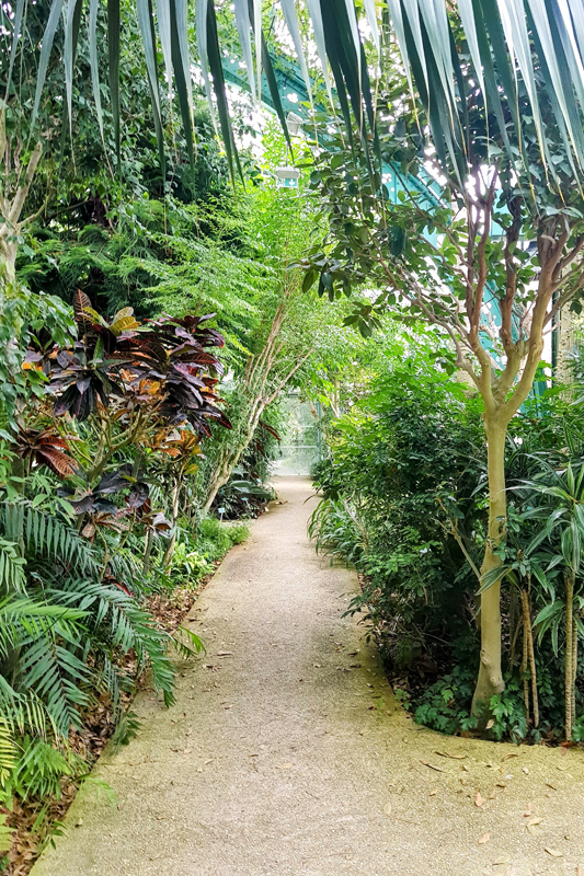 Visite - Jardin des serres d’Auteuil