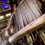 Visite - Grande galerie de l'évolution