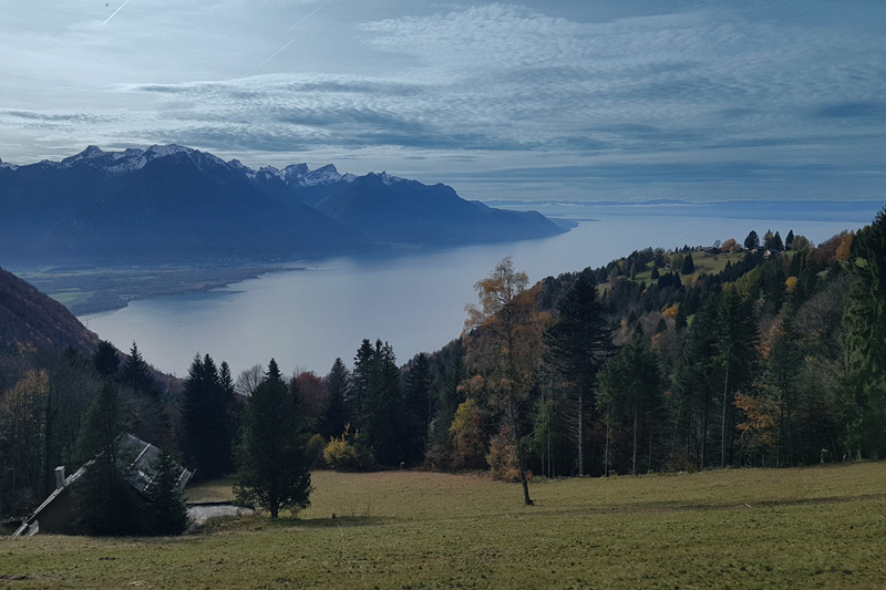 Randonnée - Caux – Auberge de Sonchaux