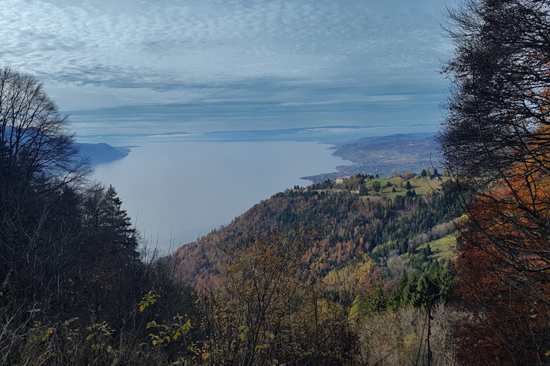 Randonnée - Caux – Auberge de Sonchaux