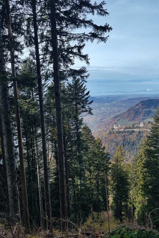 Randonnée - Caux – Auberge de Sonchaux