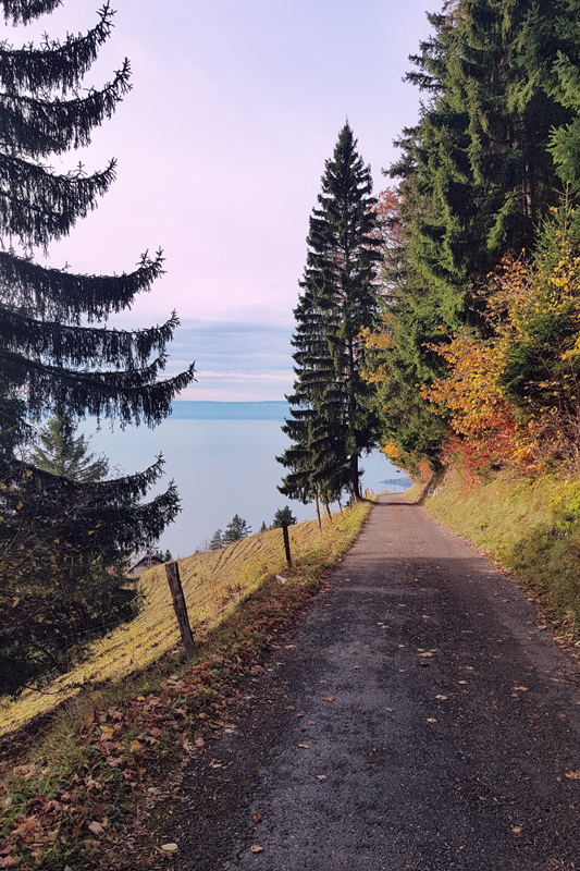 Randonnée - Caux – Auberge de Sonchaux