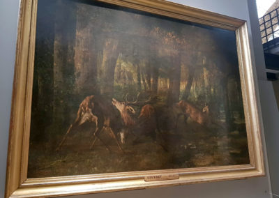Cerf élaphe - Trophée, Custave Courbet, Combat de cerfs (1861), Musée d'Orsey, Paris
