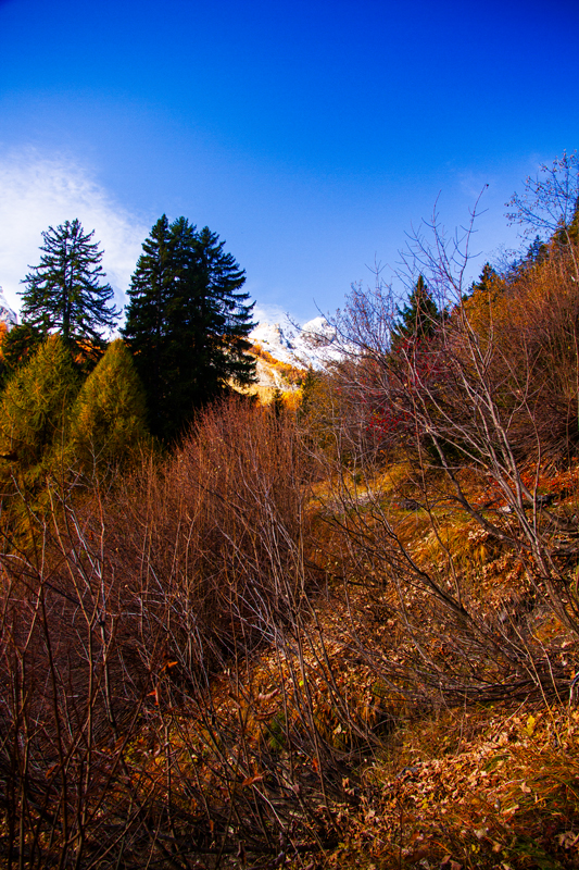 Randonnée - Ovronnaz