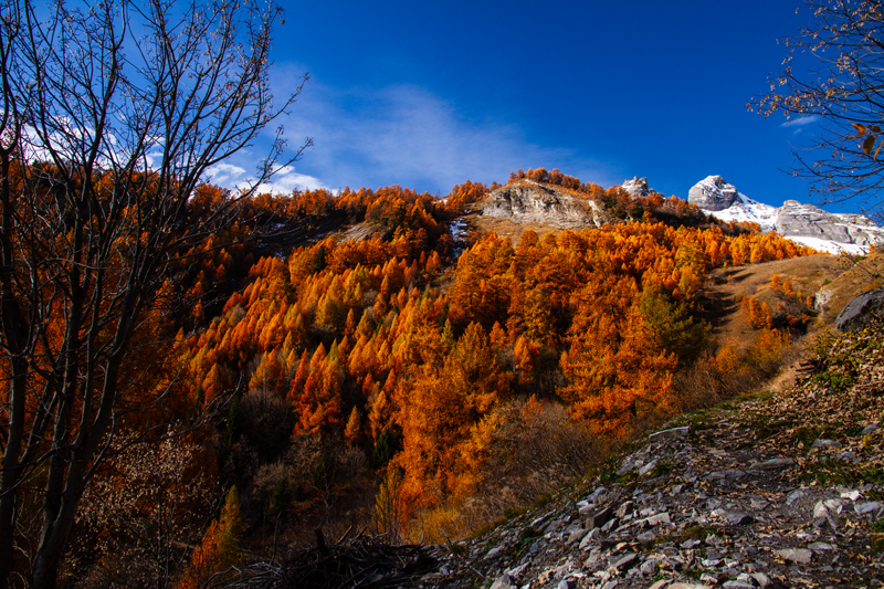 Randonnée - Ovronnaz